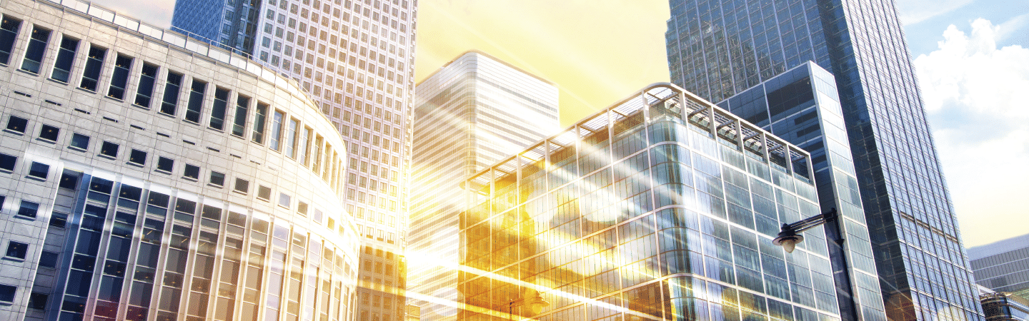 Financial Services Sector