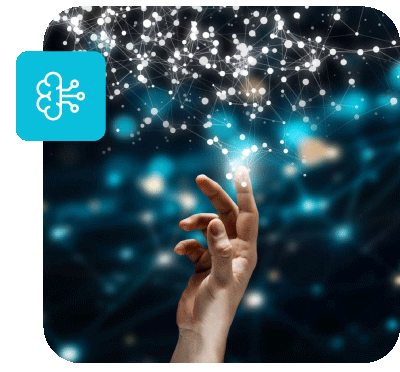 Human transformation using Legal Maxxing