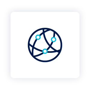 Globe icon representing a Sanctions and Global Watchlist Check