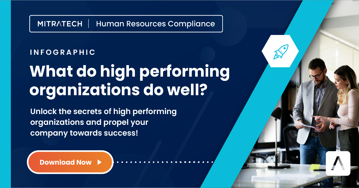 What do high performing organizations do well?
