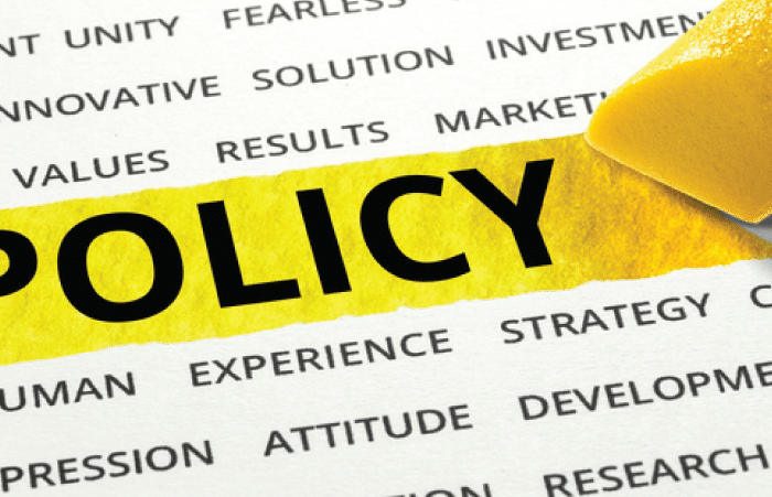 What to Know About Vendor Management Policy