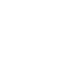 Risk & Compliance Risiko und Einhaltung der Vorschriften