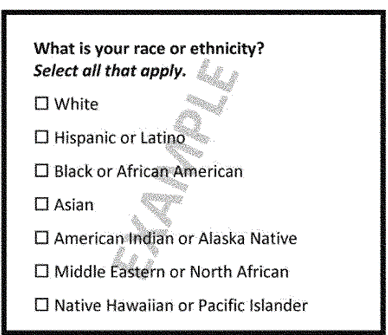 omb race checklist simple